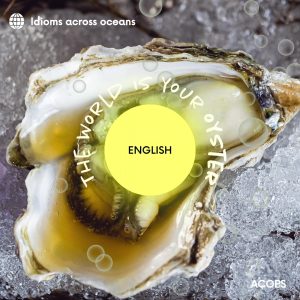 "The World is Your Oyster"; Meaning: You can do what you want or go where you want